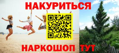 прущие грибы Донской
