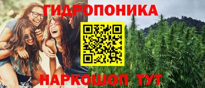 прущие грибы Донской